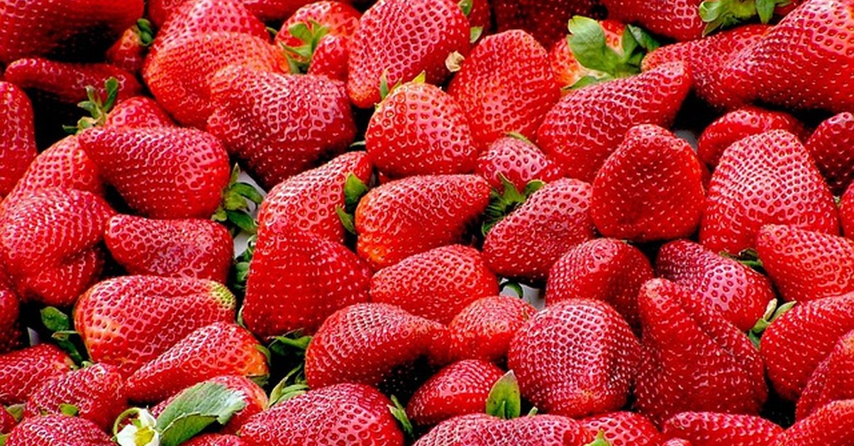Con dieta vegetariana, sigue la A.N.D. sin carencias
