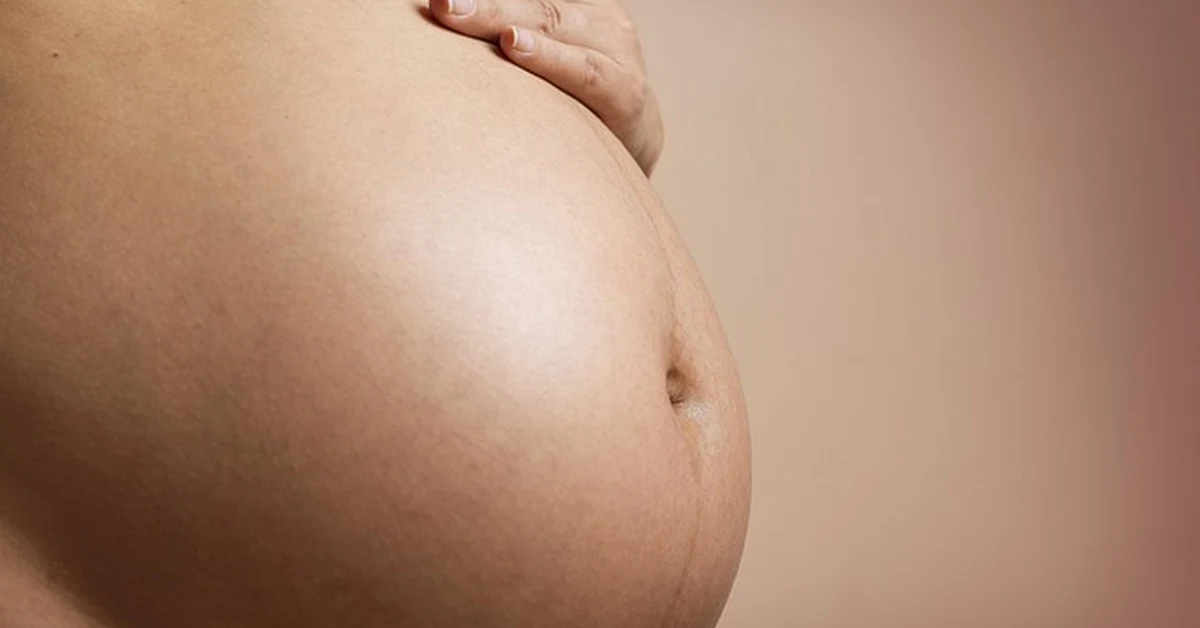¿Te falta B12 al comer vegetariano en embarazo y lactancia?